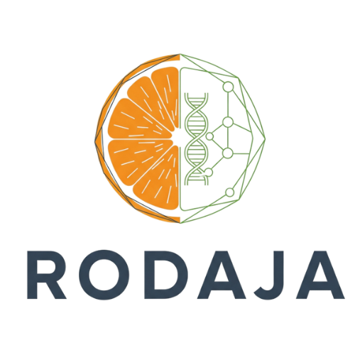 rodaja